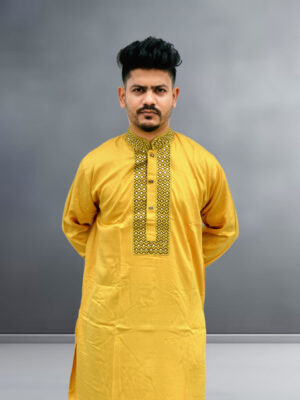 Sequence Embroidery Work Slim Fit Punjabi For Men.