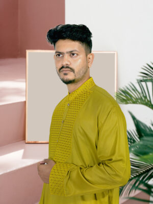 Tensil-Embroidery Secuene Panjabi
