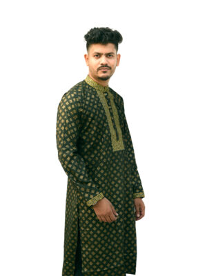 Afsun-Prinit Embroidery-Secuence Panjabi
